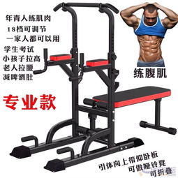 力量的锻造场 透析现代健身器材的进化与考量